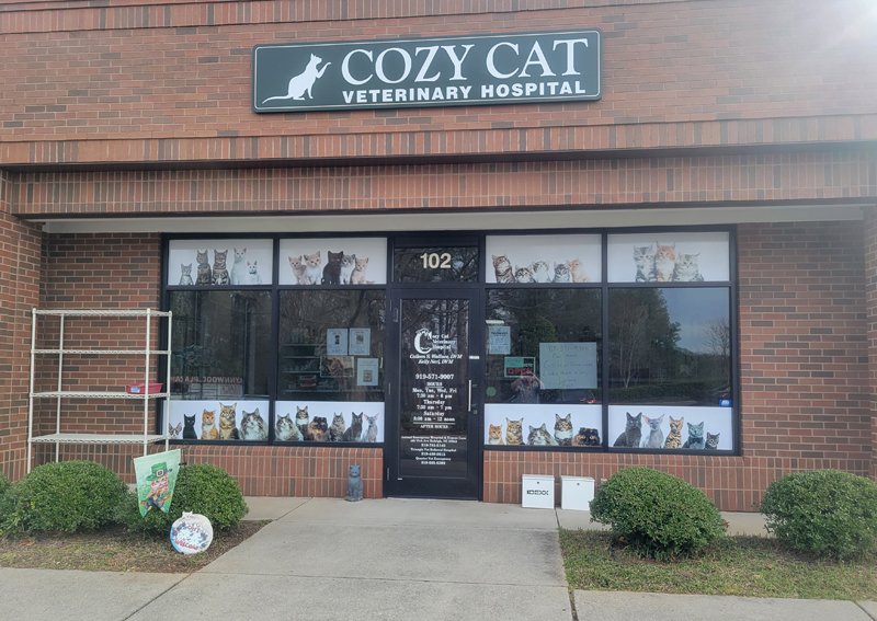 Carousel Slide 4: Cozy Cat Veterinary Hospital Front Entrance