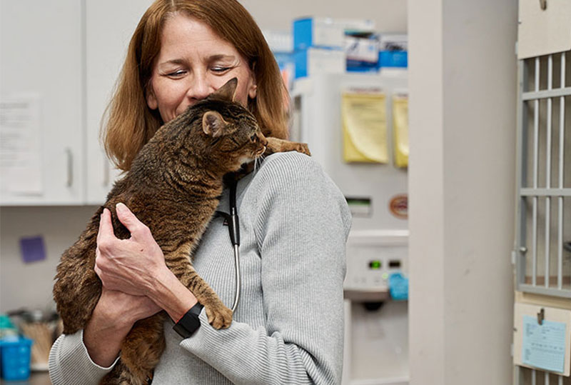 veterinary clinic in Raleigh