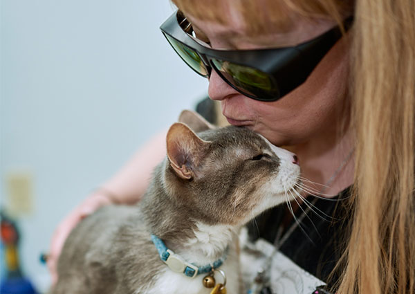 Cat Veterinary Care, Raleigh